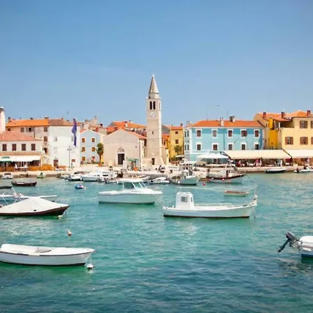 Vitae Pula